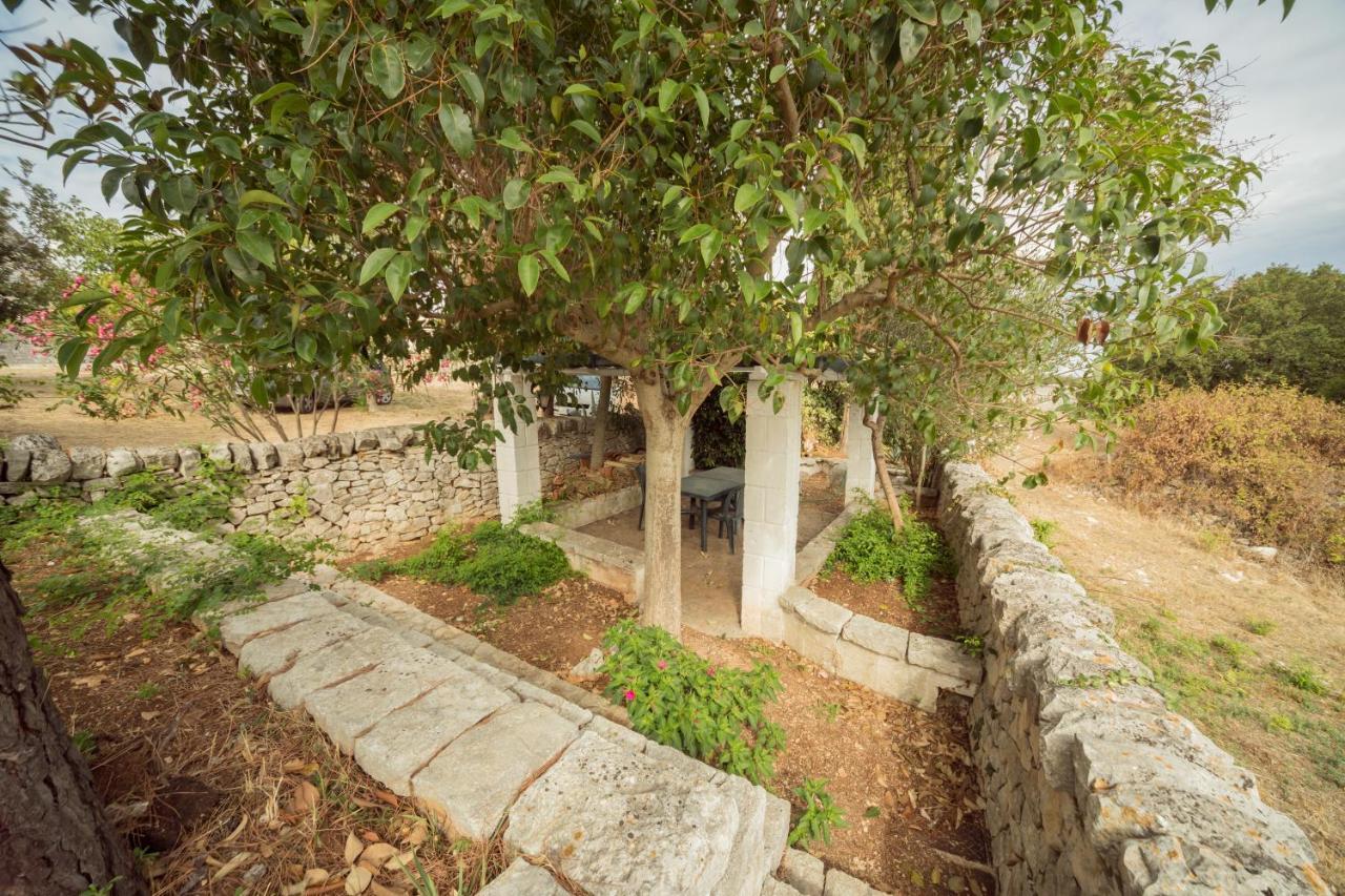 Trulli Girasoli E Viole Cocolicchio ภายนอก รูปภาพ